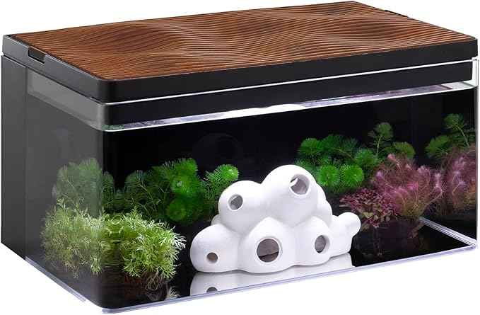 Harmony Aquarium Tank Deluxe by Clairnara – All-in-One 8 Gallon Freshwater Fish Tank with LED Light, Quiet Pump, Patented Filtration, and Special Wood Grain Toplid – iF Design Award Winner