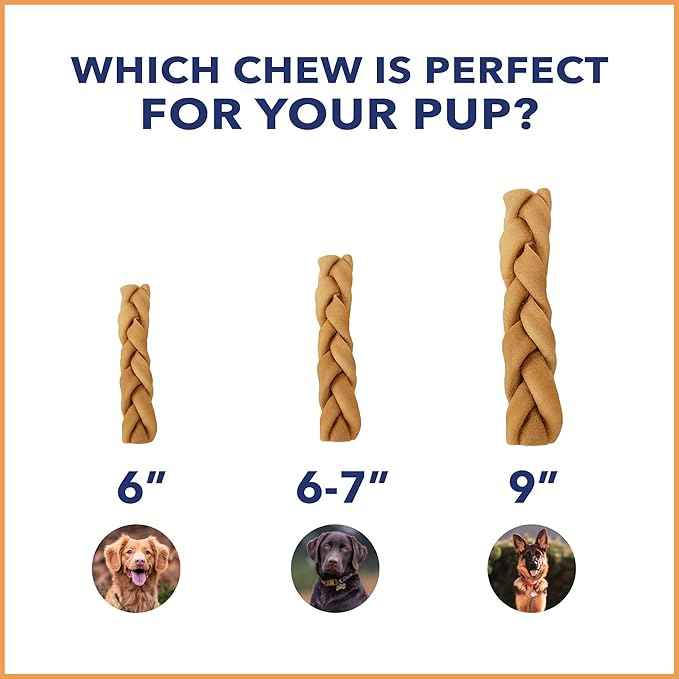 Pet Factory CareChewz Collagen 6-7" Skinny Braided Sticks Dog Chew Treats - Chicken Flavor, 5 Count/1 Pack