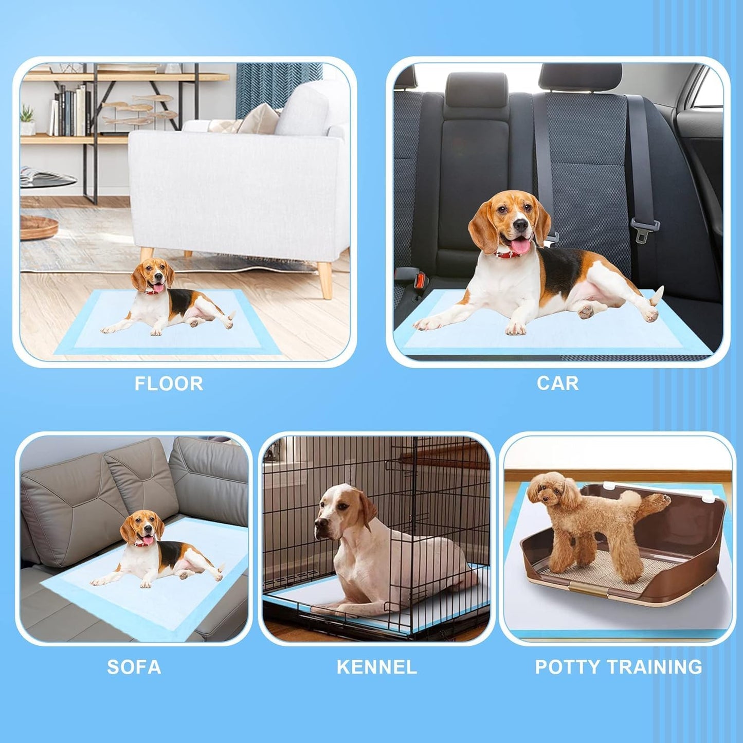 Extra Large Dog Pee Pads, 60 Pads 31"x36" Disposable Training Pads, Puppy Pads with high Absorbency and Leak-Proof Protection for House Training Cats,Rabbits,Dogs Leak-Proof Dog Pee Pads Extra Large