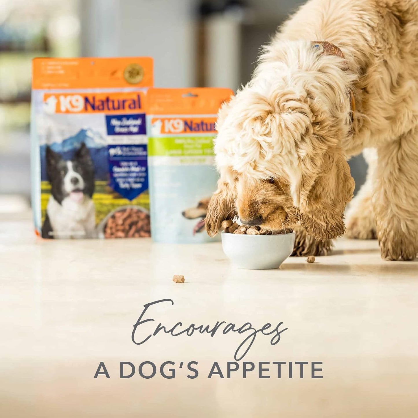 K9 Natural Freeze Dried Dog Food Topper with Verified Ingredients, Organ Meat Blend for Digestive Support, Human-Grade Freeze Dried Puppy Food & Dog Topping, Beef Green Tripe, 8.8oz