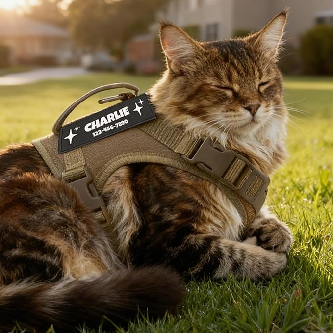 Cat Harness and Leash Escape Proof Tactical Cat Harness with Custom Patches Adjustable Soft Vest for Walking & Training Comfortable Outdoor Gear Fits Small Medium Large Cats (8-20 lbs)