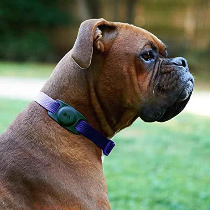 Case-Mate Airtag Dog Collar Holder - Durable, Water Resistant, Lightweight, and Protective Airtag Holder Tag - Easy to Insert Pet Collar Air Tag Loop - Compatible with Cat / Dog Collars - Black