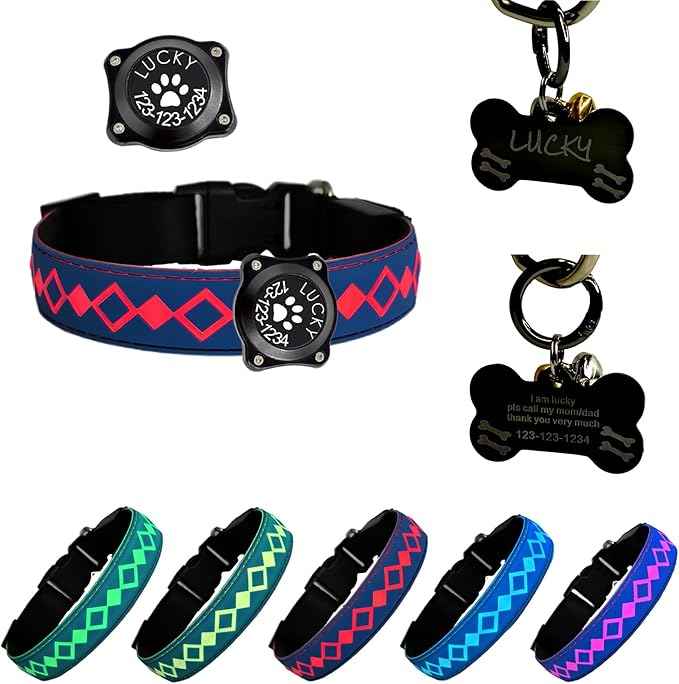 LED Dog Collar with AirTag Holder and Custom ID Tag, 15 Light Modes, Waterproof, Multiple Colors (BLUE, M(11.8-15.7"))