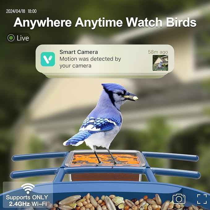 Bird Feeder with Camera Solar Powered : Smart Camera Bird Feeder 2K Live Feed Cam for Outdoor Backyard - Ai Identify Auto Capture Videos Pictures, Gifts for Birdlover Mom Dad, 2.6GHz WiFi