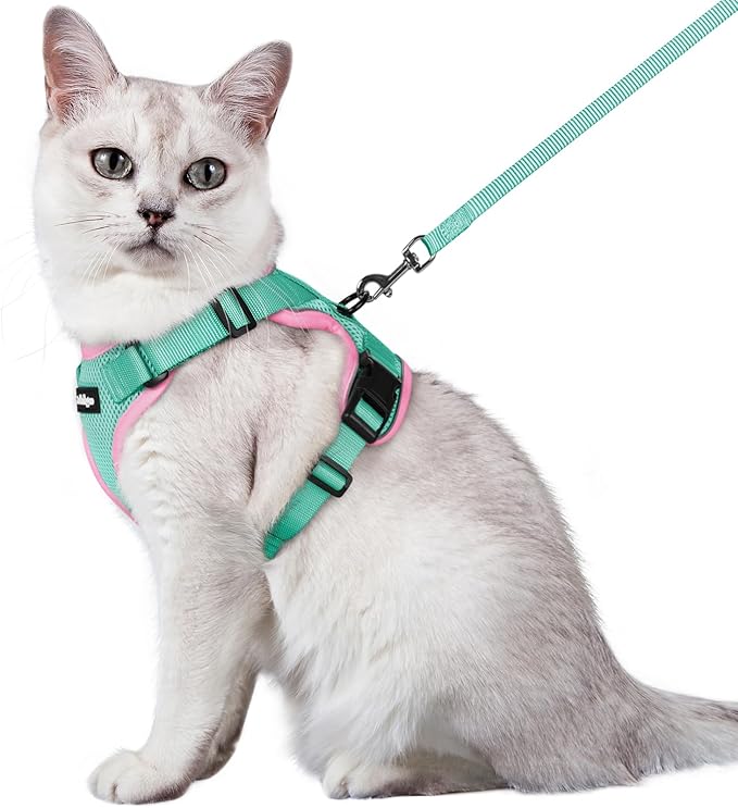 rabbitgoo Cat Harness and Leash for Walking, Escape Proof Soft Adjustable Vest Harnesses for Cats, Easy Control Breathable Reflective Strips Jacket, Green&Pink, S