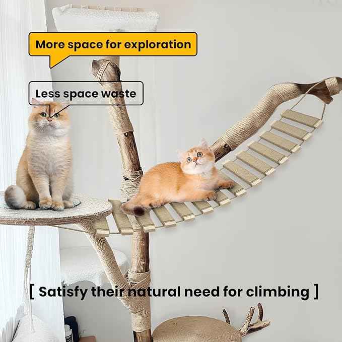 40in Cat Ladder & Bridge, Outdoor Cat Tree with Jute Rope, Multi-Level Climbing Frame & Scratcher for Indoor/Outdoor Cats (Wood Tone, 40in)