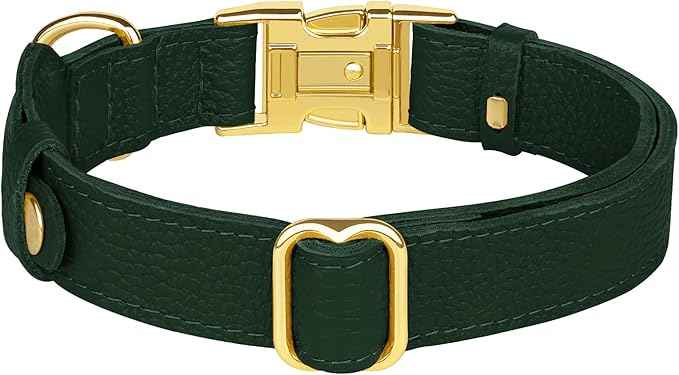 Leather Airtag Dog Collar - Soft Tracking Dog Collar with Apple AirTag Holder and Metal Buckle - Safety GPS Pet Collars for Small Medium Large Dogs Puppy Pink Red (Green, XS, 9"-12" Neck Fit)