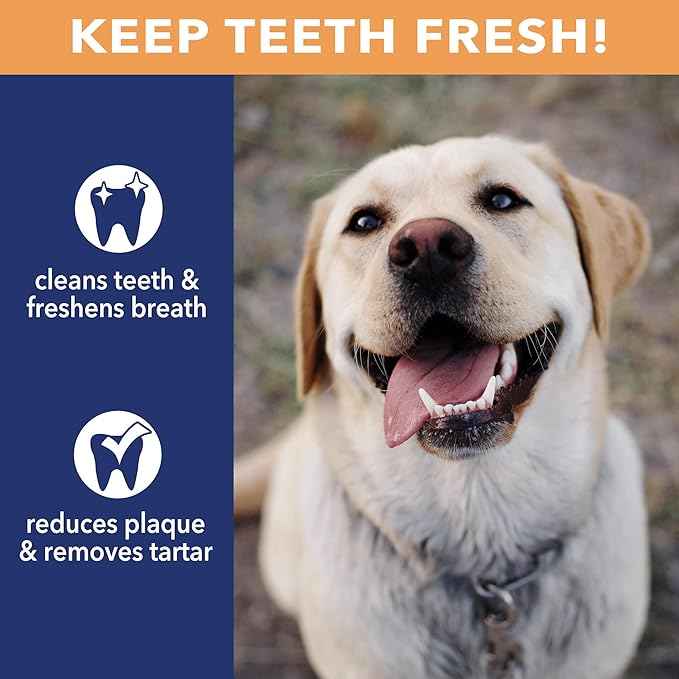 Pet Factory CareChewz Collagen +Plus 9" Rovers Dog Chew Treats - Chicken Flavor, 3 Count/1 Pack