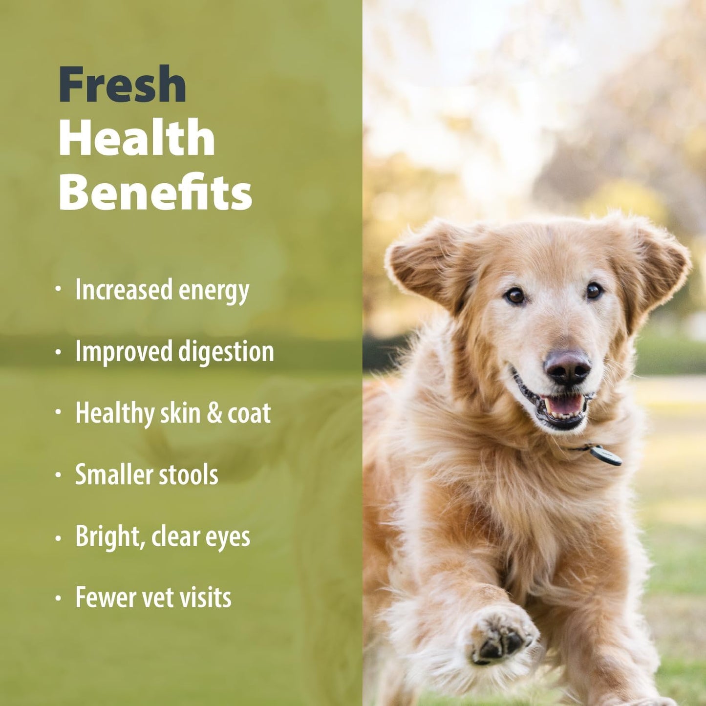 JustFoodForDogs Pantry Fresh Wet Dog Food Variety Pack, Complete Meal or Dog Food Topper, Beef, Chicken, & Turkey Human Grade Dog Food Recipes - 12.5 oz (Pack of 6)