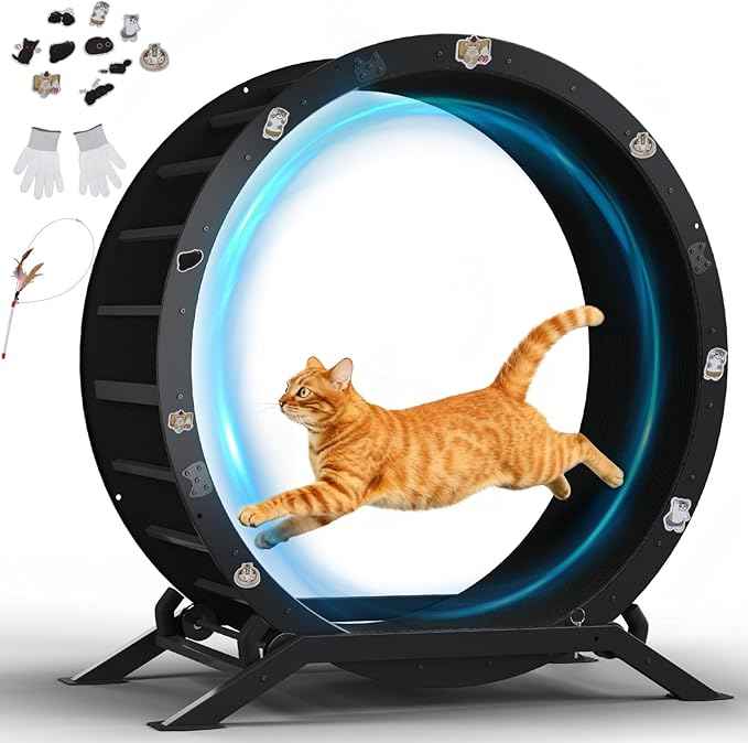 GTPLAYER Cat Wheels, Large Cat Exercise Wheel for Indoor Cats, 40"Diameter cat treadmill Detachable Carpet & Teaser, stickers, Ultra-quiet scroll wheel With latch, Suitable for Most Cats, Metal, Black