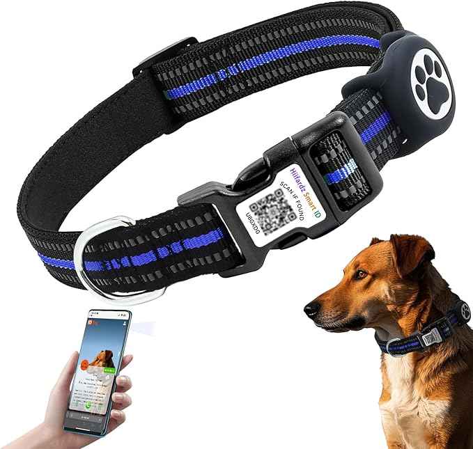 Airtag Dog Collar with QR Code Tag - Reflective Adjustable Nylon Collar, Quick Release Buckle for Small Medium Large Dogs, Comfortable Padded Lining (Blue, L)