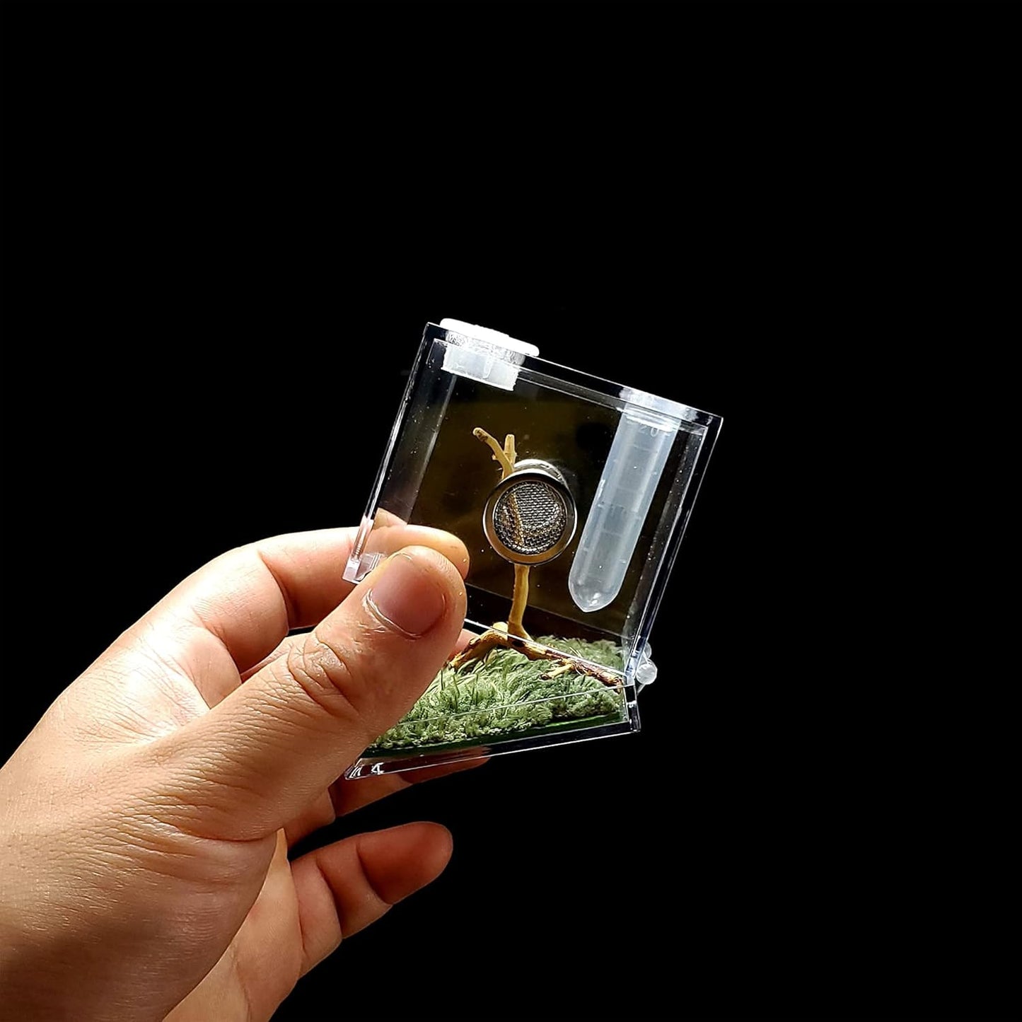 crapelles Jumping Spider Micro Middle Habitat, Small Pet Insect Breeding Box, 360 Degree Transparent Reptile Cage, Acrylic Case Mini Carrier for Amphibians, Feeding Container Enclosure Accessories - FurryFun