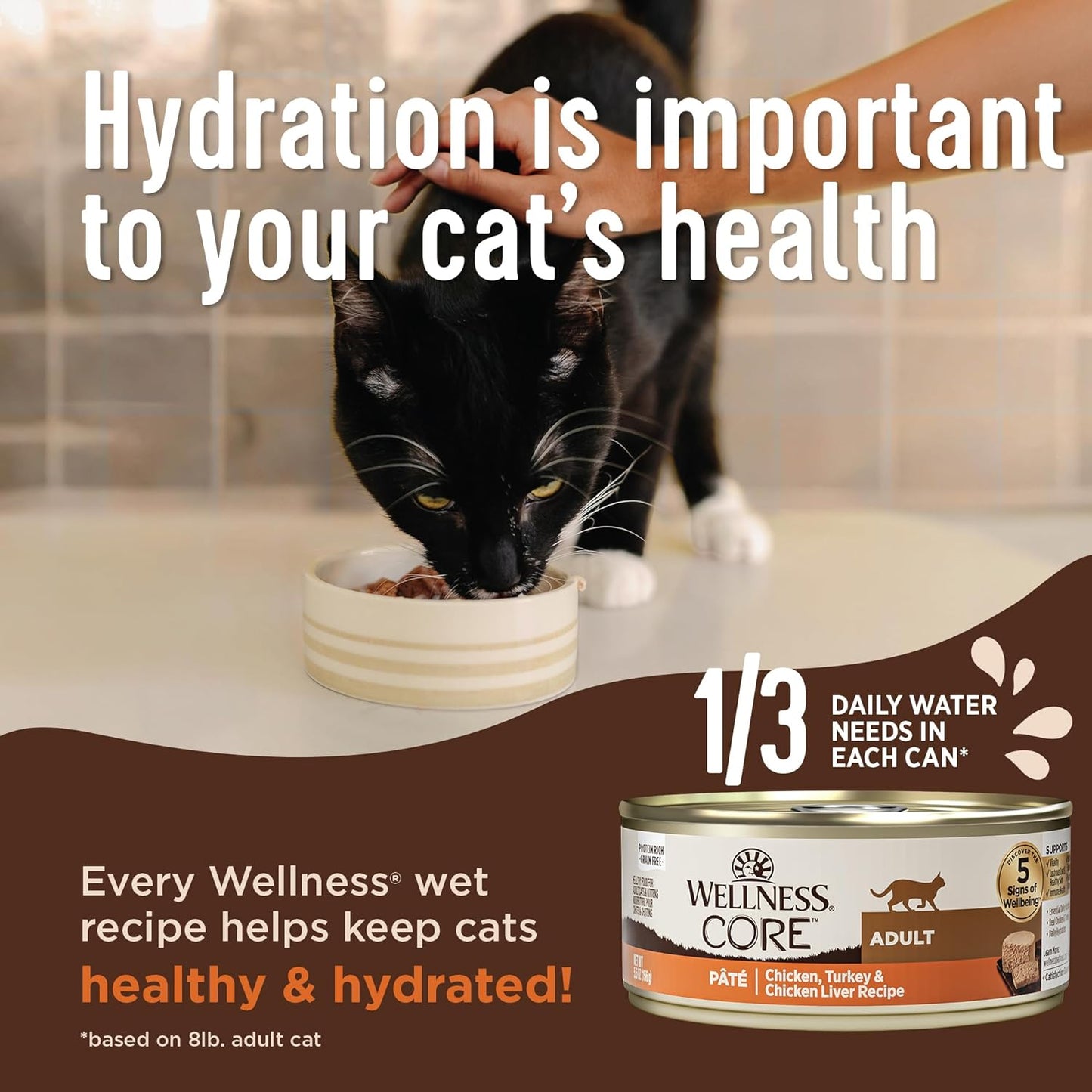 Wellness CORE+ Digestive Health Pate Adult Wet Cat Food, Natural, Protein-Rich, Grain Free, 3 Ounce, 12 Pack (Chicken)