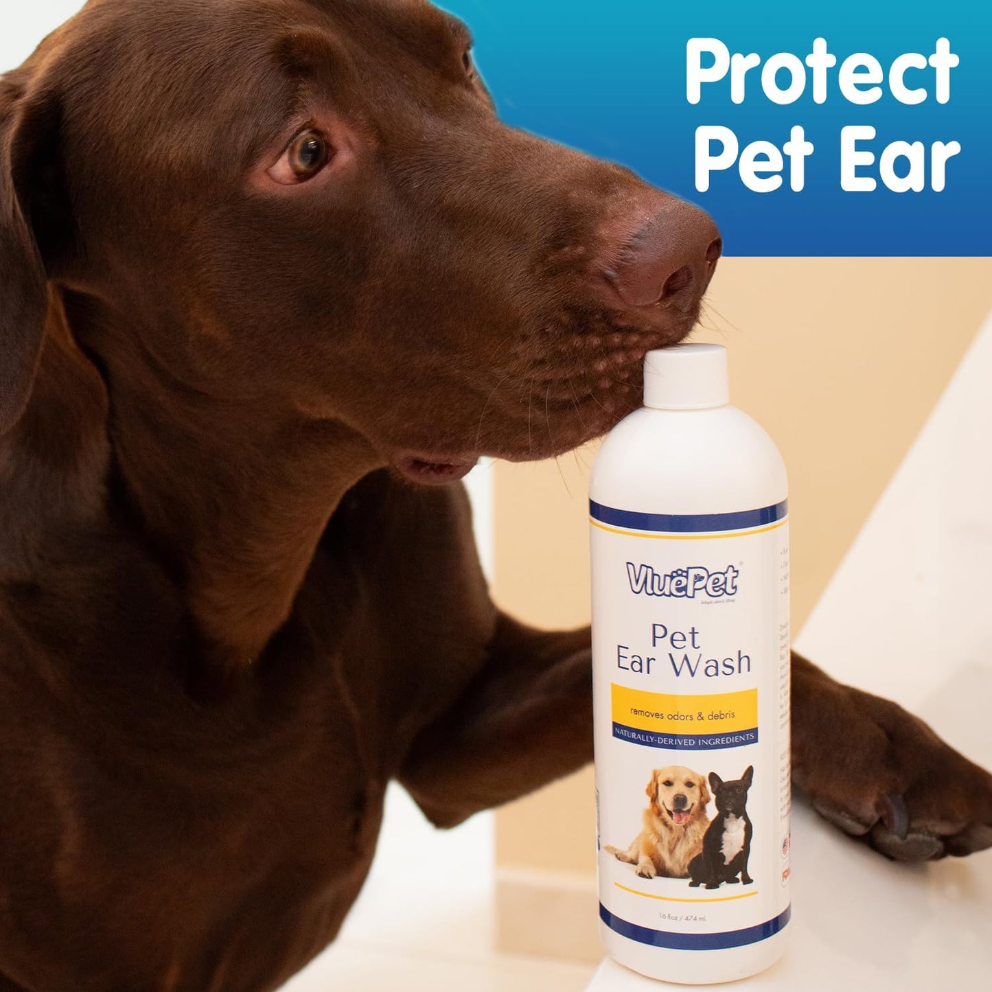 VLUEPET | Pet Ear Wash - Ear Infection Treatment to Relieve Ear Itching & Inflammation for Dog and Cat - Gently Remove Ear Wax - Natural Ingredients and Alcohol Free Ear Wash - All Natural – 16 fl oz