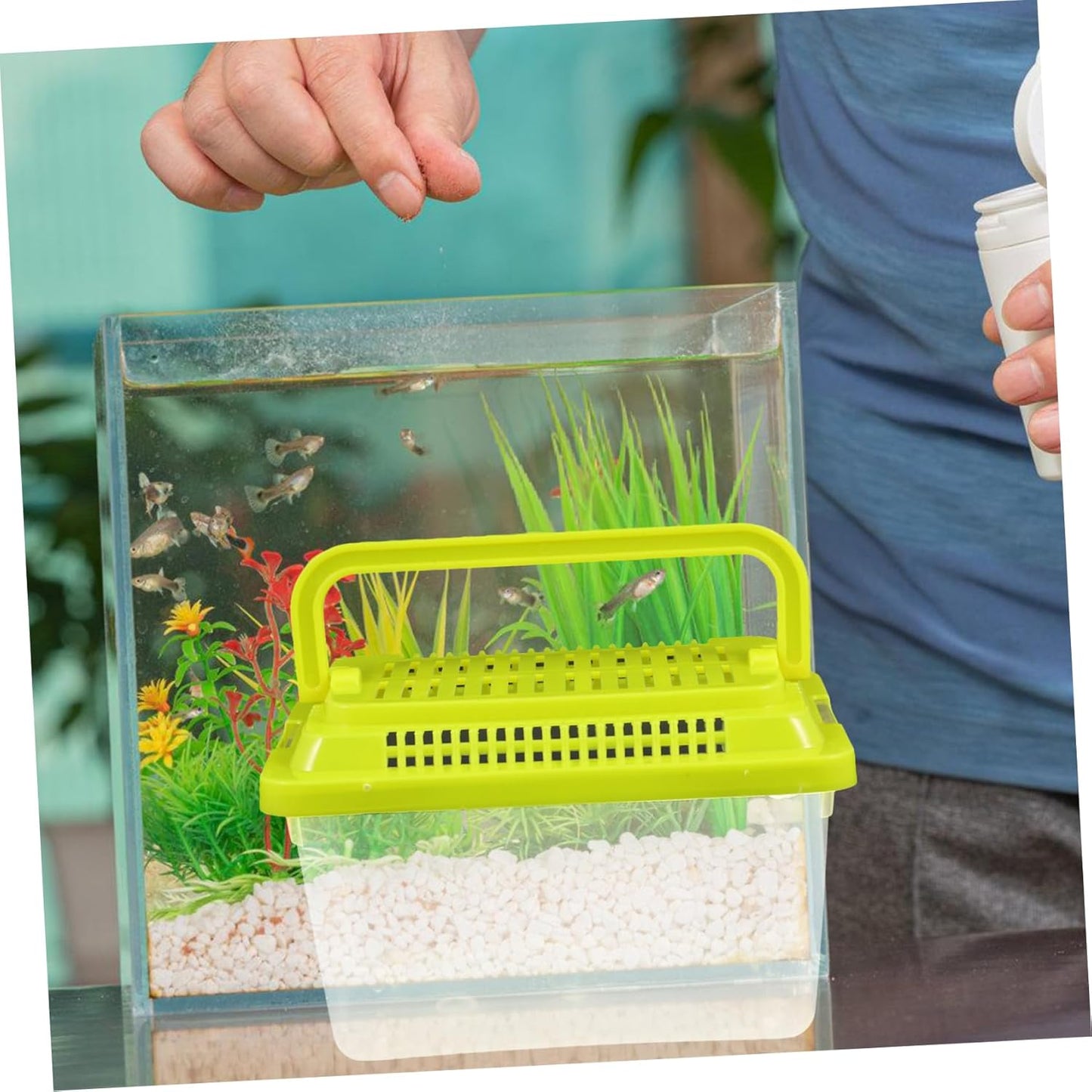 Transparent Plastic Turtle Fish Tank, Reptile Carrier, Feeding Tank, Glass Containers, Amphibia Container, Terrarium, Hamster Cages, Reptiles Commodity Mini - FurryFun