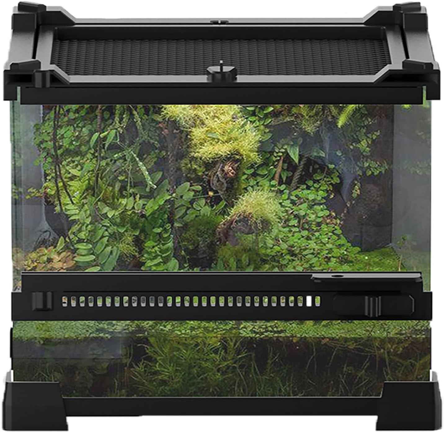 Woyrise Reptile Glass Terrarium Tank 8"x8"x5.7", Front & Top Opening Door Full View Visually Appealing Mini Reptiles or Amphibians Habitat, Stackable Enclousure for Small Reptiles