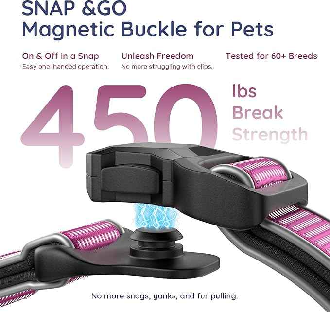 WhoseID Premium AirTag Dog Collar - Waterproof Medium Air Tag Dogs Collar | Magnetic Buckle Heavy Duty Collar | Reflective Dog Collar with AirTag Holder