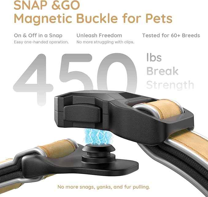 WhoseID Premium Leather Dog Collar - Waterproof AirTag Dog Collar | Magnetic Buckle Heavy Duty Collar | Medium Reflective Dog Collar with AirTag Holder