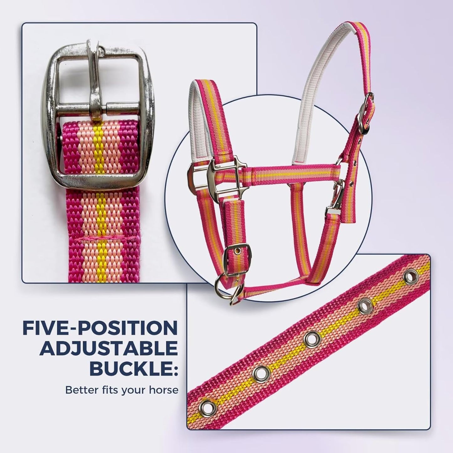JWODVNTH Adjustable Horse Halter with PP Webbing, Durable Horse Halters with Zinc Alloy Hardware, Horses Training Equipment to Prevent Friction for Training, Competitions ＆ Daily