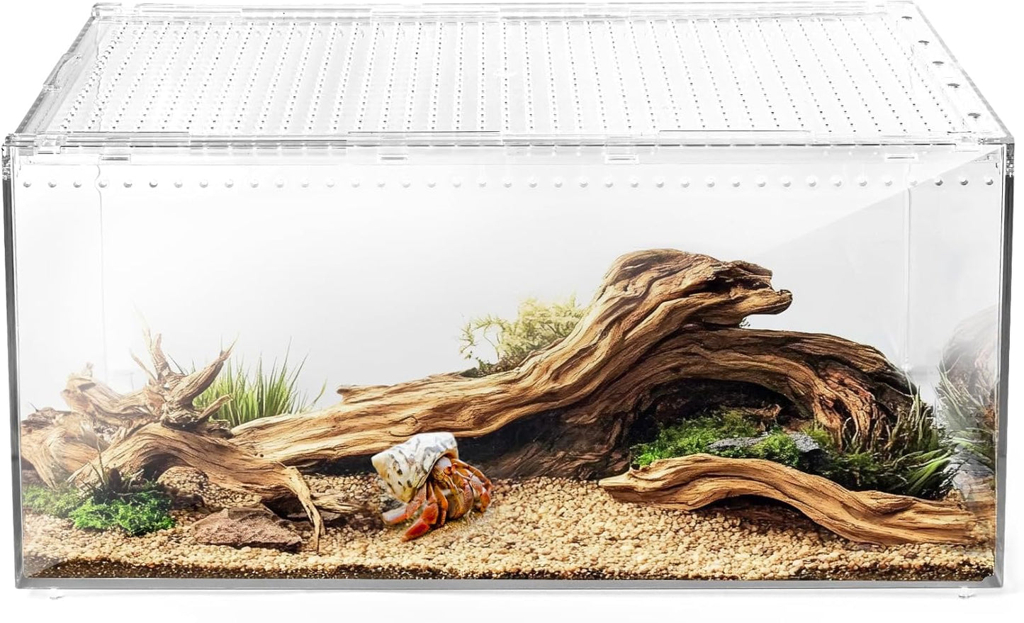 AZV Reptile Terrarium Tank,Versatile Enclosure for Leopard Crested Gecko,Lizard Cage,Spider Starter Kit,Hermit Crab Habitat,Tarantula Cribs,Perfect Aquarium for Snake,Frogs,Snails,Insects,Small Pets - FurryFun