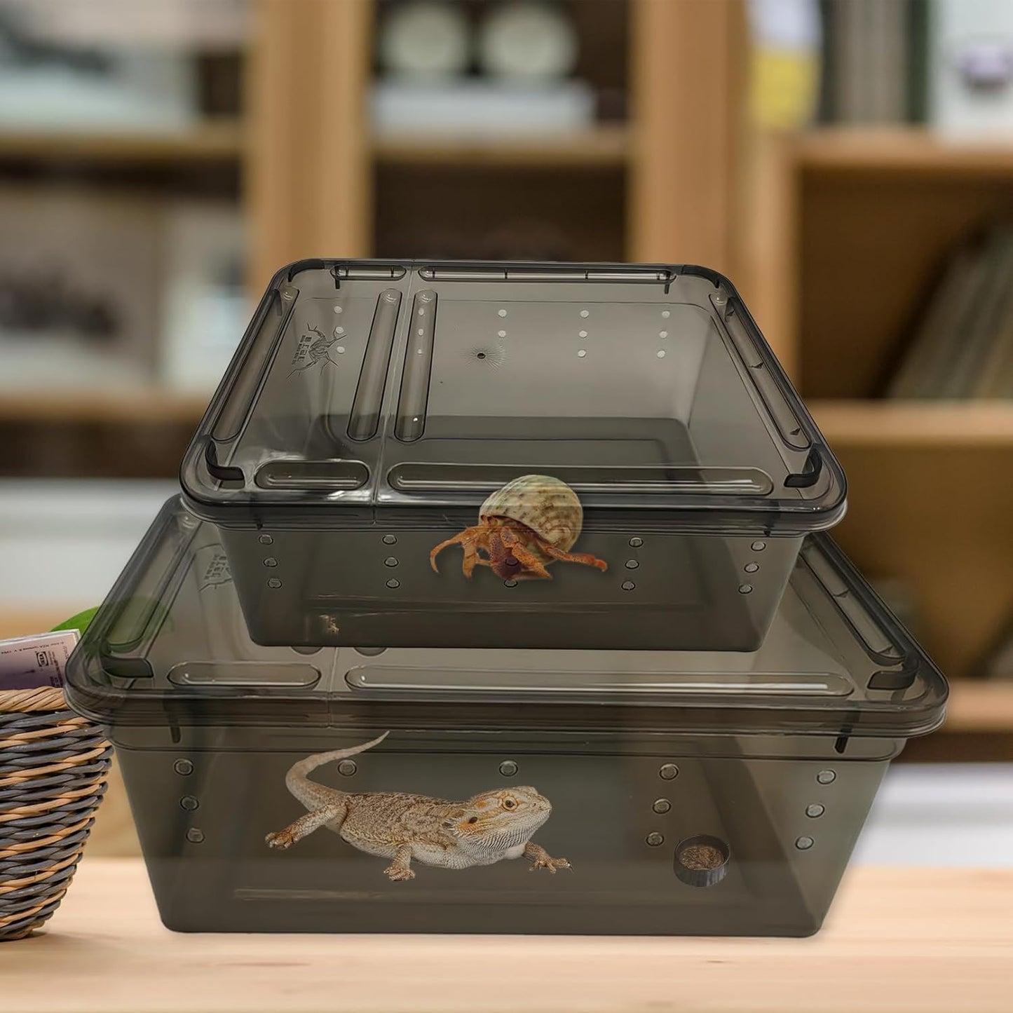 PINVNBY 8 PCS Reptile Feeding Box Portable Snake Breeding Box Lizard Cage Hatching Container 7.48"x4.92"x2.95" Transparent Plastic Pet Houses for Spider Scorpion Gecko Insect Tortoise Treefrog(Black) - FurryFun