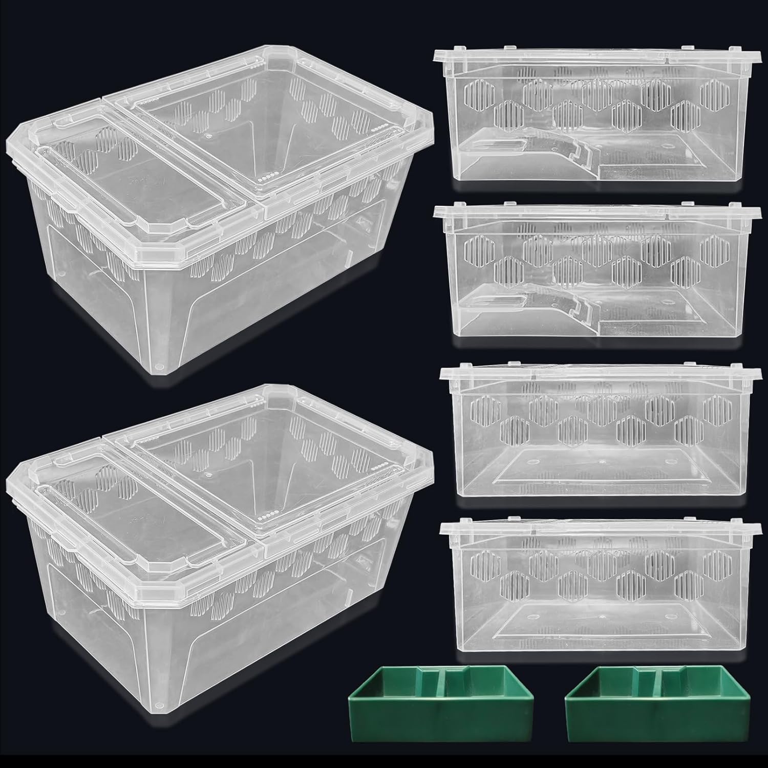 PINVNBY Reptile Feeding Box 6 PCS Snake Breeding Box Lizard Cricket Cage Habitat Hatching Container Transparent Portable Critter Keeper for Spider Scorpion Gecko Tortoise Treefrog (2 Large 4 Small) - FurryFun