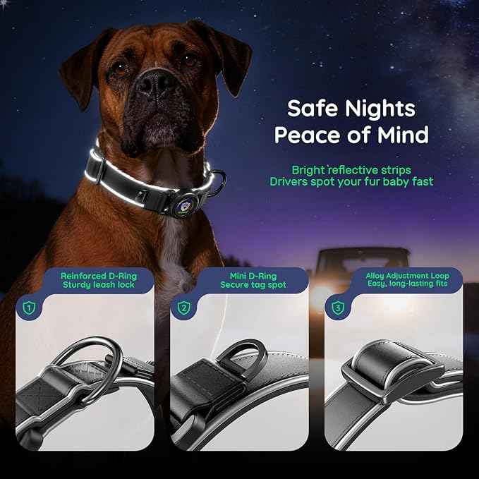 WhoseID Premium Leather Dog Collar - AirTag Dog Collar | Fur-Safe Magnetic Buckle | IPX8 Waterproof Reflective Small Dog Collar with AirTag Holder