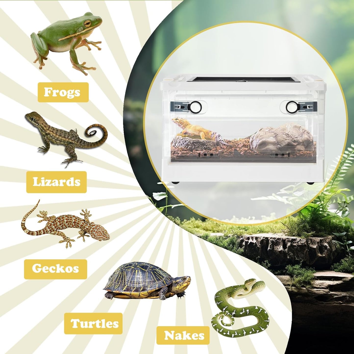 PINVNBY Plastic Reptile Feeding Box with Wheels,Reptiles Breeding Enclosure Cages Transparent Amphibians Habitat Terrarium Tank Portable Transport Container for Lizard,Bearded Dragon(White) - FurryFun