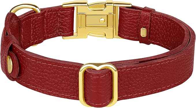 Leather Airtag Dog Collar - Soft Tracking Dog Collar with Apple AirTag Holder and Metal Buckle - Safety GPS Pet Collars for Small Medium Large Dogs Puppy Pink Red (Red, XL, 20"-25" Neck Fit)