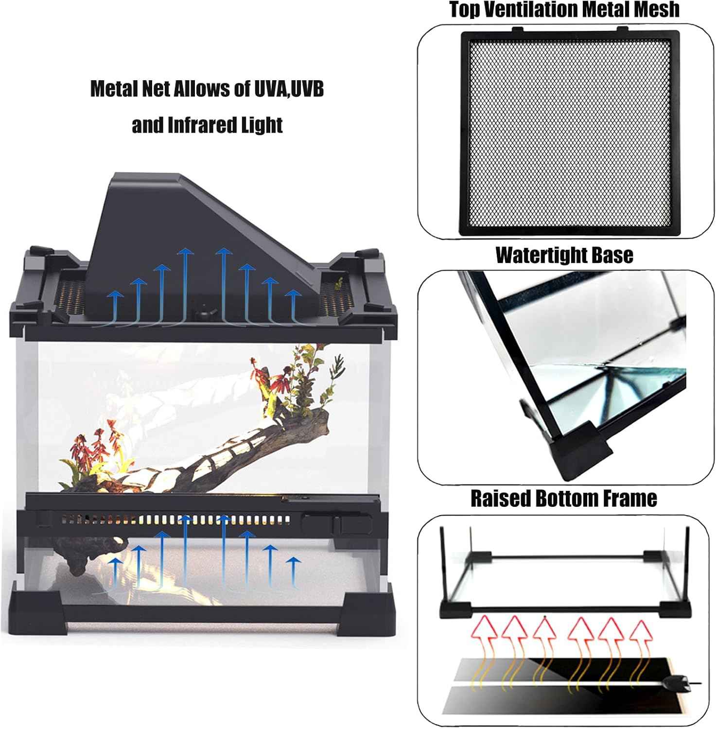 Woyrise Reptile Glass Terrarium Tank 8"x8"x5.7", Front & Top Opening Door Full View Visually Appealing Mini Reptiles or Amphibians Habitat, Stackable Enclousure for Small Reptiles