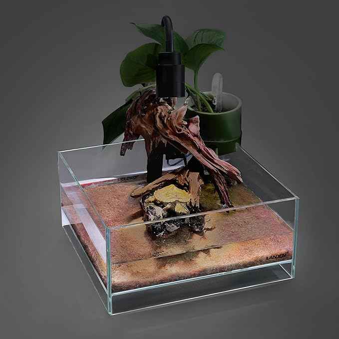 LANDEN Glass Air Aquarium Tank Multi-Scene Landscape Aquarium, 1.6Gallon Rimless Low Iron Shallow Tank,10.63" W×10.63" D×4.72" H (27cmx27cmx12cm) 5mm Thickness