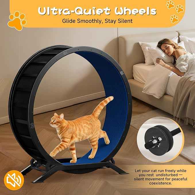 GTPLAYER Cat Wheels, Large Cat Exercise Wheel for Indoor Cats, 40"Diameter cat treadmill Detachable Carpet & Teaser, stickers, Ultra-quiet scroll wheel With latch, Suitable for Most Cats, Metal, Blue