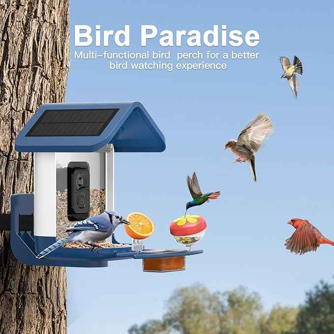 Bird Feeder with Camera Solar Powered : Smart Camera Bird Feeder 2K Live Feed Cam for Outdoor Backyard - Ai Identify Auto Capture Videos Pictures, Gifts for Birdlover Mom Dad, 2.6GHz WiFi