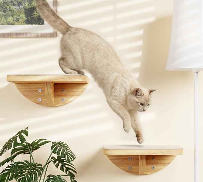 Cat Wall Shelves and Cats Window Perch – Natural Wood 4-Piece Set with Foam-Padded Curved Bed and Felt Steps, Space-Saving Wall Mounted Design