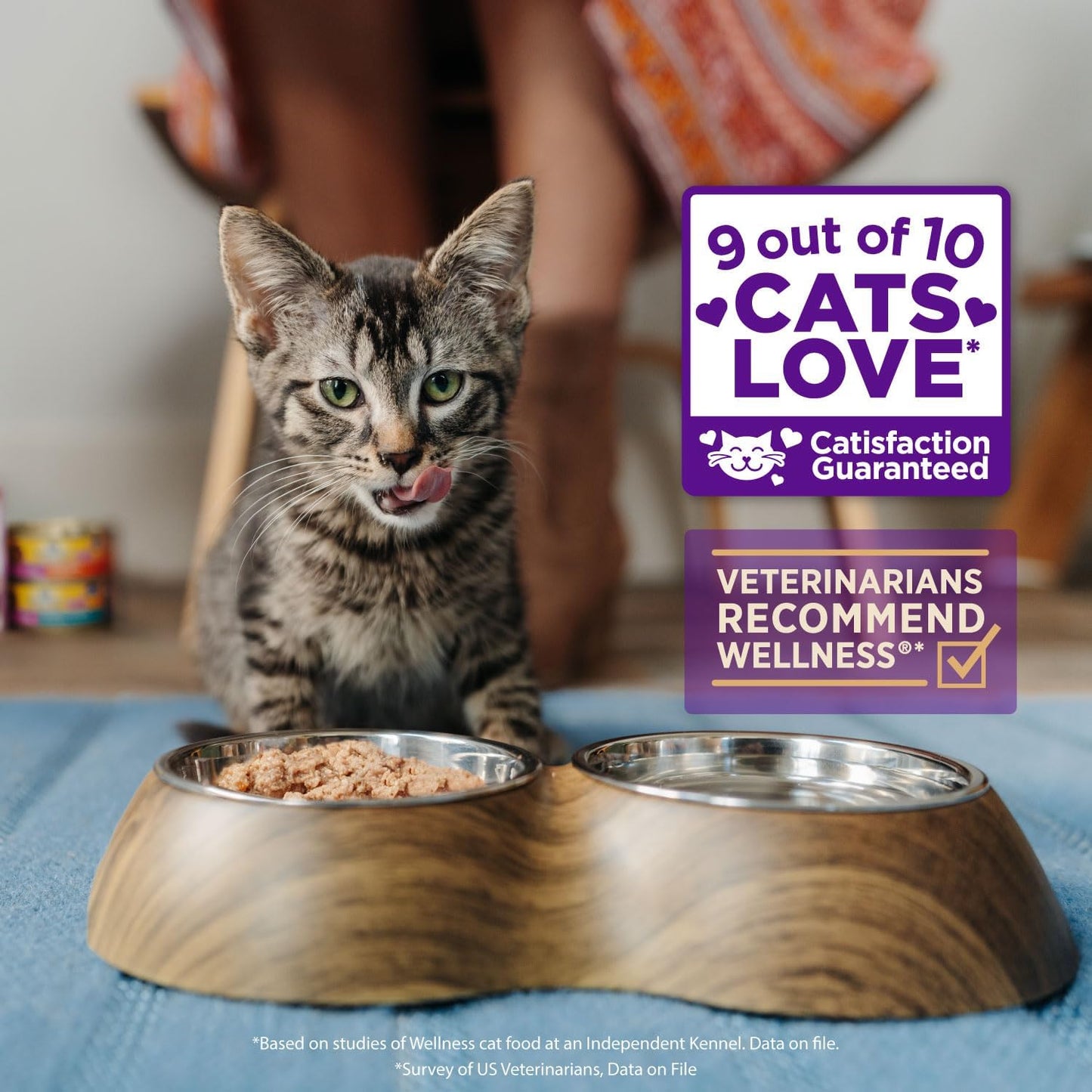 Wellness Healthly Indulgence Shreds Adult Wet Cat Food, Natural, Protein-Rich, Grain Free, 3 Ounce Pouch, 24 Pack, (Chicken & Turkey)