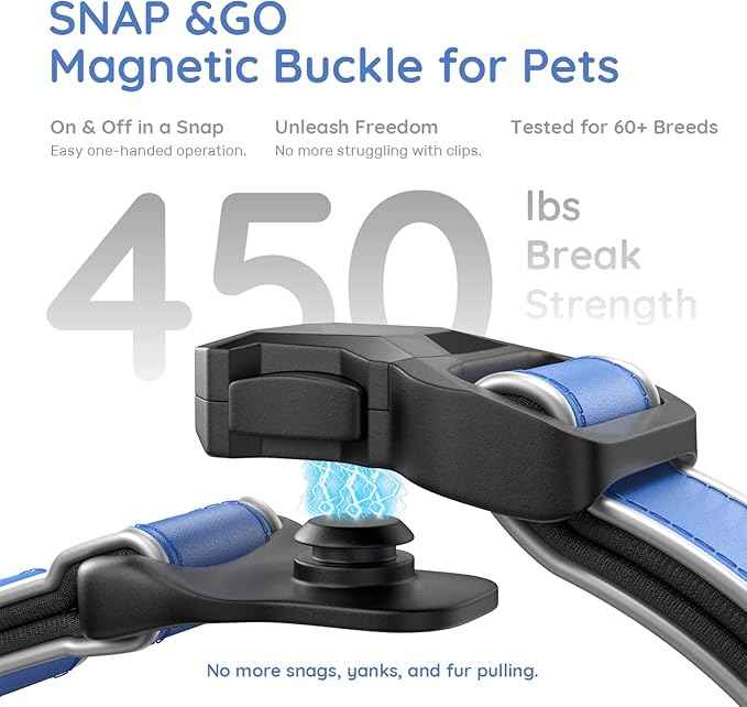 WhoseID Premium Leather Dog Collar - AirTag Dog Collar | Fur-Safe Magnetic Buckle | IPX8 Waterproof Reflective Small Dog Collar with AirTag Holder