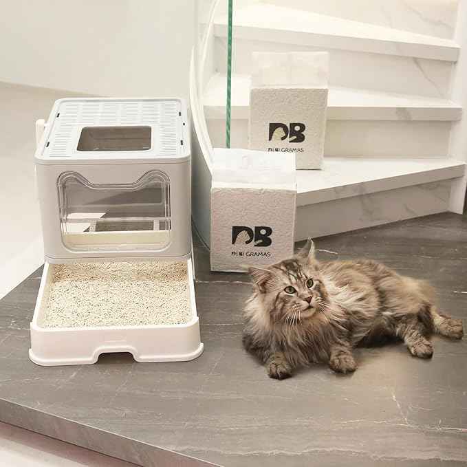 Cat Litter 12LB/2 Packs Dust-Free Clumping Tofu Cat Litter Quickly Absorb Odors Toilet Can Flush Into The Toilet Pure Natural tofu cat Litter (Original Flavor)