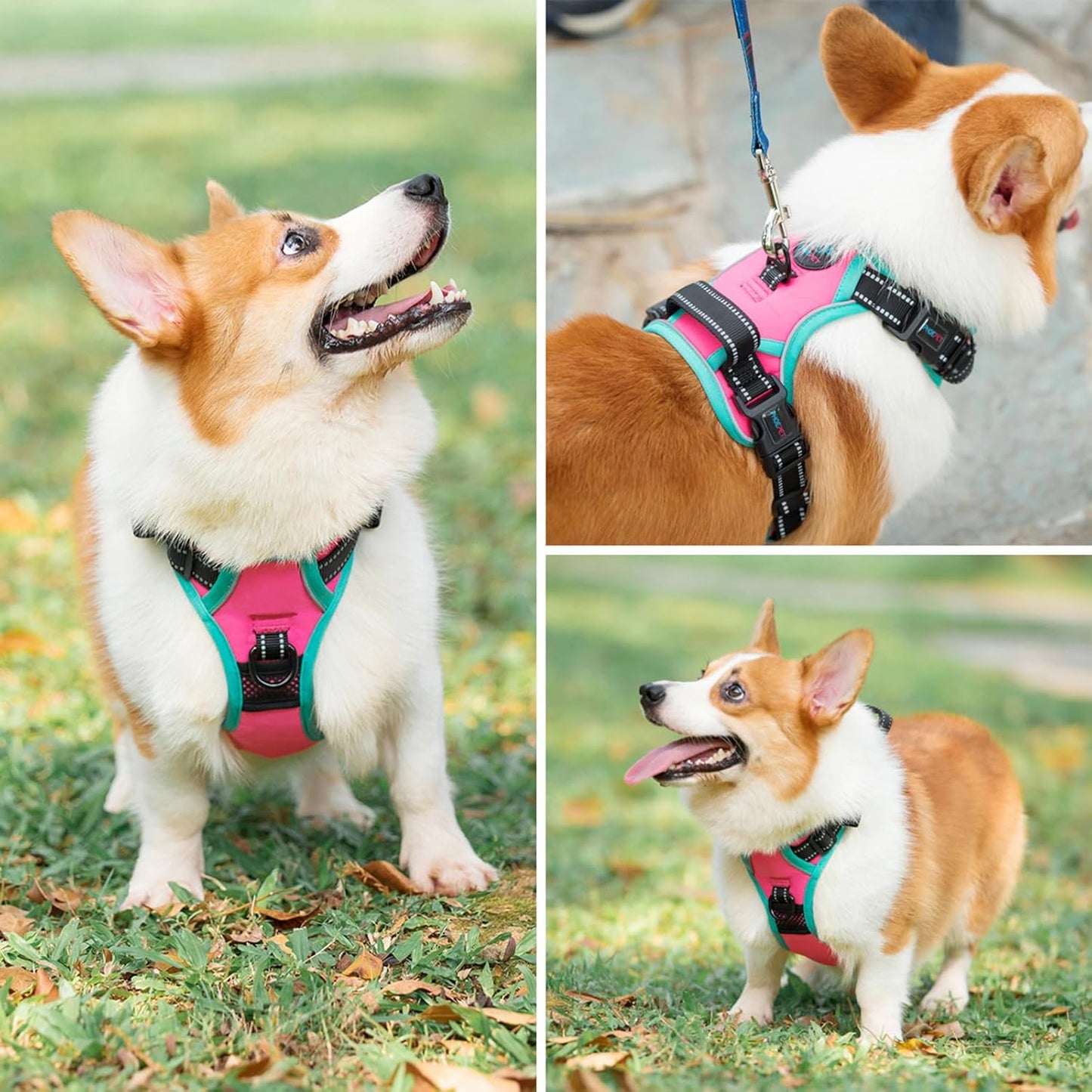 PHOEPET 2019 Upgraded No Pull Dog Harness, Reflective Adjustable Vest, with a Training Handle + 2 Metal Leash Hooks+ 3 Snap Buckles +4 Slide Buckles(S, Pink)