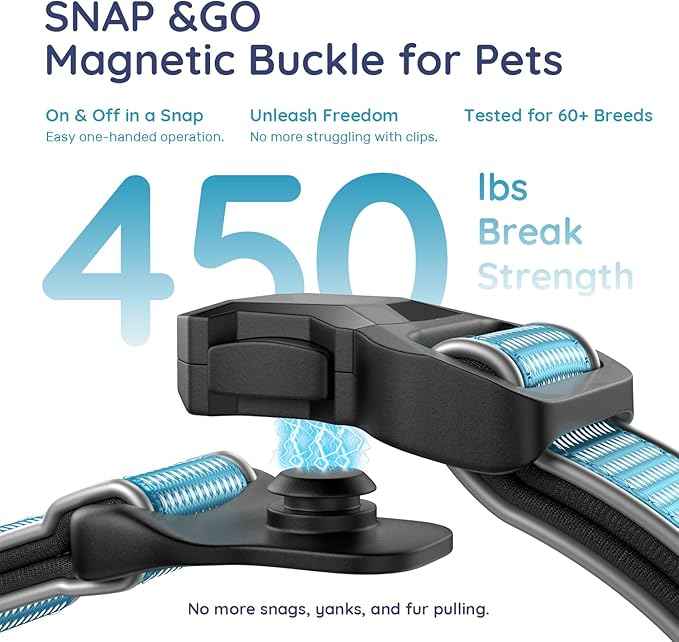 WhoseID Premium AirTag Dog Collar - Waterproof Medium Air Tag Dogs Collar | Magnetic Buckle Heavy Duty Collar | Reflective Dog Collar with AirTag Holder