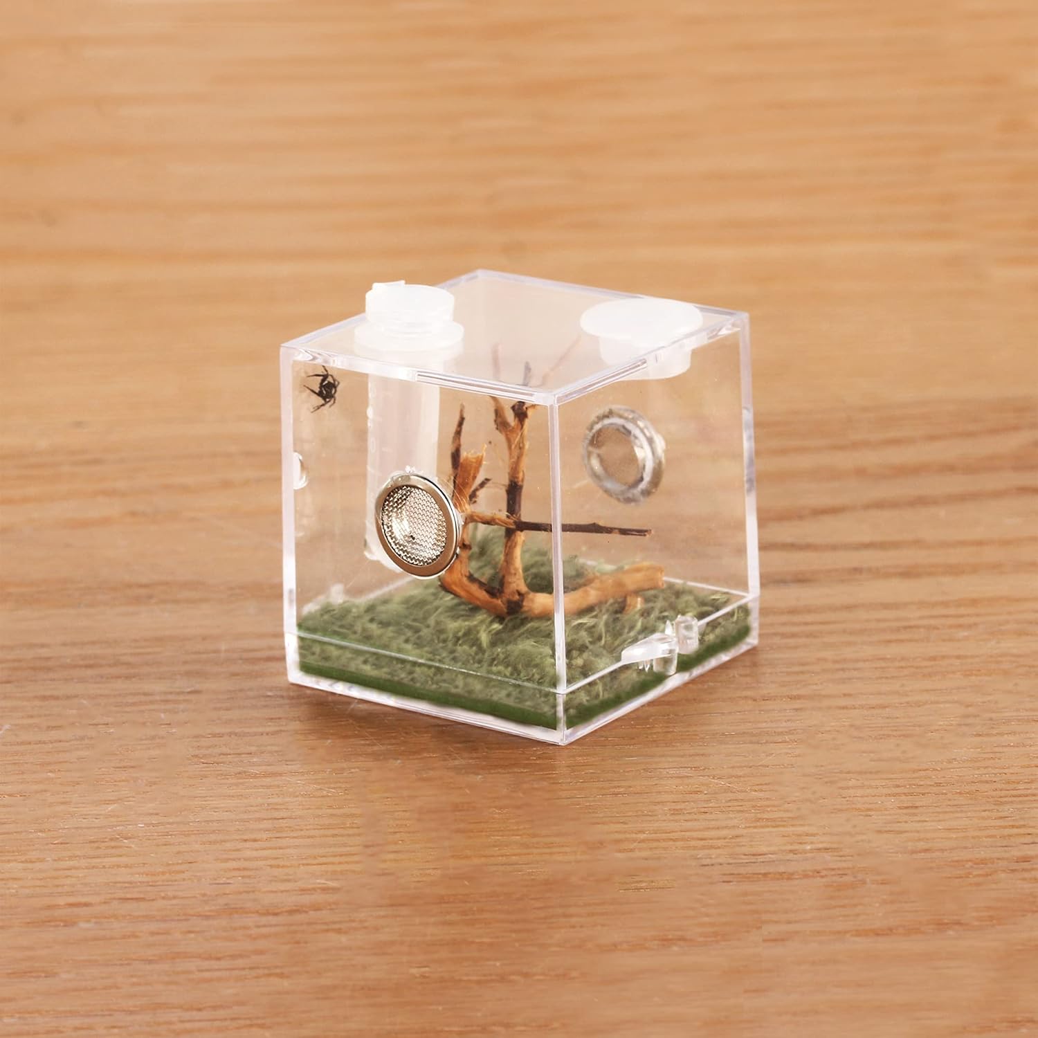 crapelles Jumping Spider Micro Middle Habitat, Small Pet Insect Breeding Box, 360 Degree Transparent Reptile Cage, Acrylic Case Mini Carrier for Amphibians, Feeding Container Enclosure Accessories - FurryFun