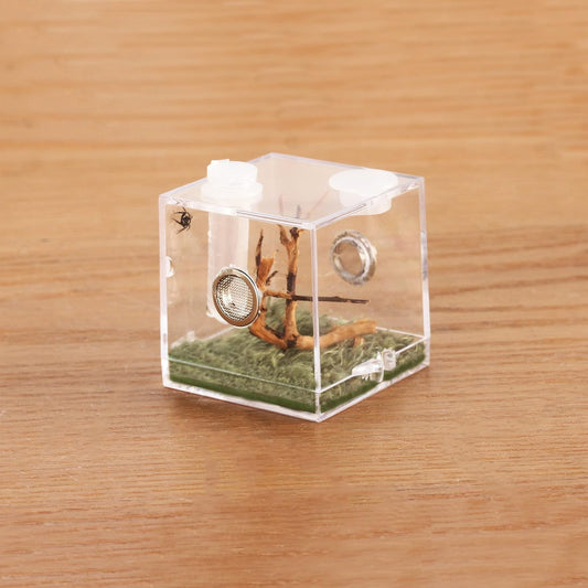 crapelles Jumping Spider Micro Middle Habitat, Small Pet Insect Breeding Box, 360 Degree Transparent Reptile Cage, Acrylic Case Mini Carrier for Amphibians, Feeding Container Enclosure Accessories - FurryFun