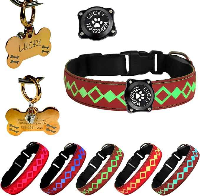 LED Dog Collar with AirTag Holder and Custom ID Tag, 15 Light Modes, Waterproof, Multiple Colors (RED, S(7.87-11.8"))