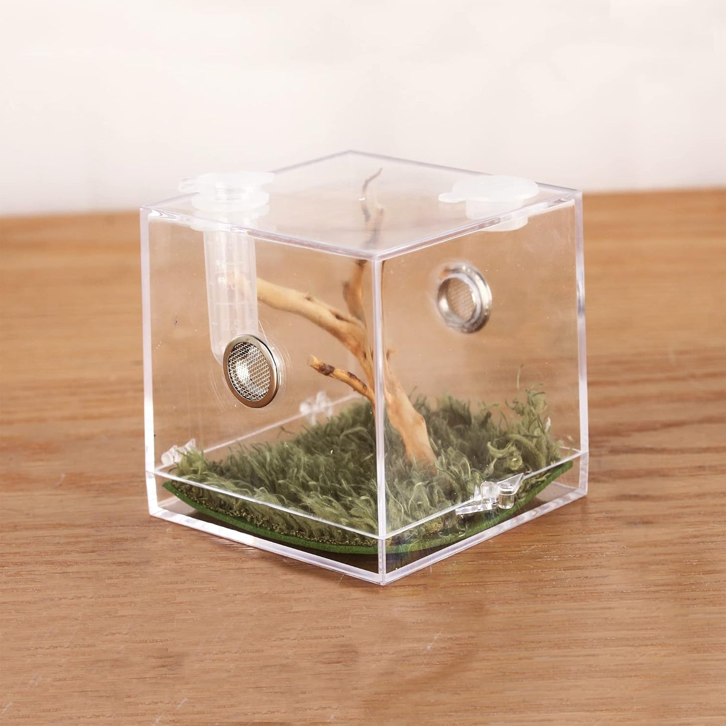 crapelles Jumping Spider Micro Big Habitat, Small Pet Insect Breeding Box, 360 Degree High Transparent Reptile Cage, Acrylic Case Mini Carrier for Amphibians, Feeding Container Enclosure Accessories - FurryFun