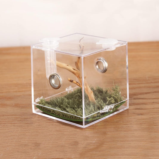 crapelles Jumping Spider Micro Big Habitat, Small Pet Insect Breeding Box, 360 Degree High Transparent Reptile Cage, Acrylic Case Mini Carrier for Amphibians, Feeding Container Enclosure Accessories - FurryFun