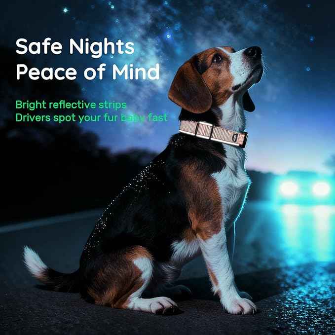 WhoseID Premium Dog Collar for Large Dogs - IPX8 Waterproof AirTag Dog Collar | Magnetic Buckle Heavy Duty Collar | 450LB Escape-Proof | Reflective Dog Collar with AirTag Holder