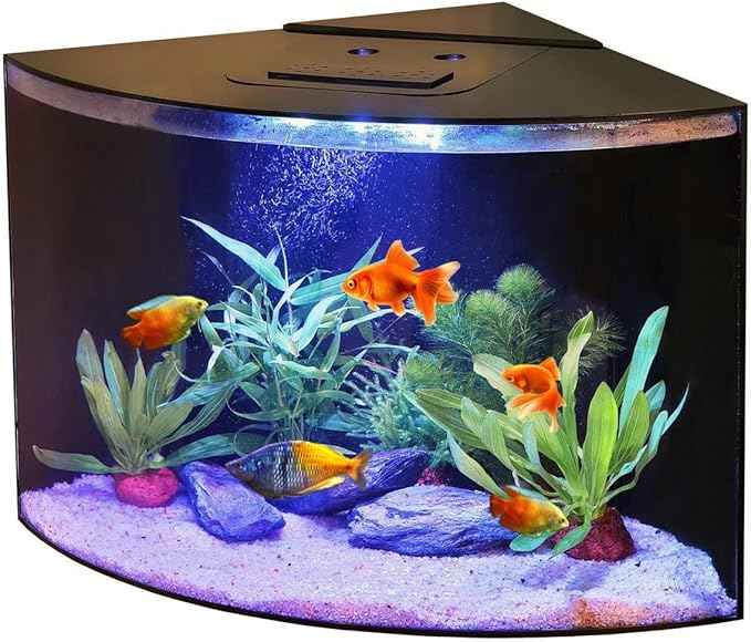Aquabubble - Acrylic Corner Fish Tank 12,5 Gallon-Corner Aquarium for Goldfish,Betta Fish -Large Triangle Acquarium Bowl-Built-in Pump Filter,LED Lighting & Bluetooth App Control -No Stand Included