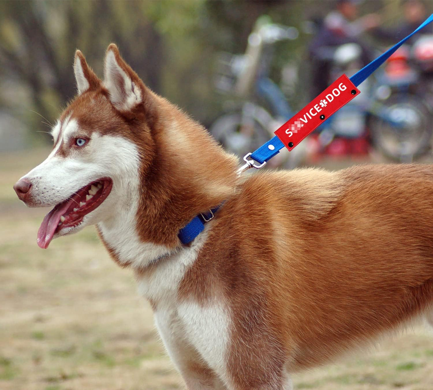 Advivio Funny Red Dog Leash Sleeve, Wrap Alert Hanging ID Patch Tag for Pet Walking and Training, Pet Birthday Gift