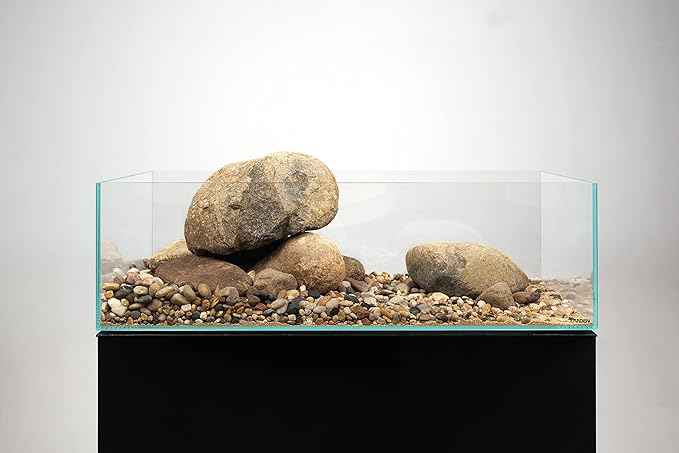 LANDEN 60S 7.9 Gal Shallow Aquarium Tank, Shallow Fish Tank, Rimless Low Iron Tank W23.6×D11.8×H7.1 in(60x30x18cm); 5mm Thickness Aquascape Fish Tank, Black Leveling Mat Included