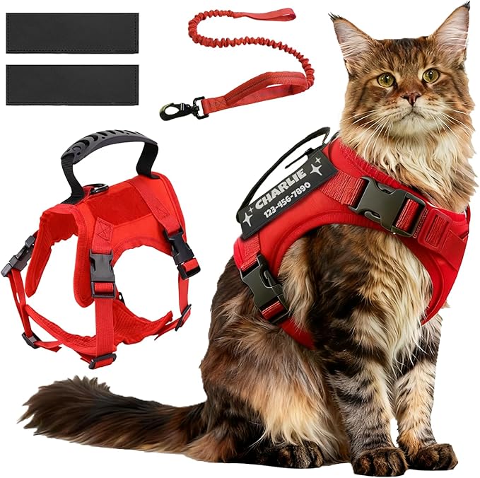 Cat Harness and Leash Escape Proof Tactical Cat Harness with Custom Patches Adjustable Soft Vest for Walking & Training Comfortable Outdoor Gear Fits Small Medium Large Cats (8-20 lbs)