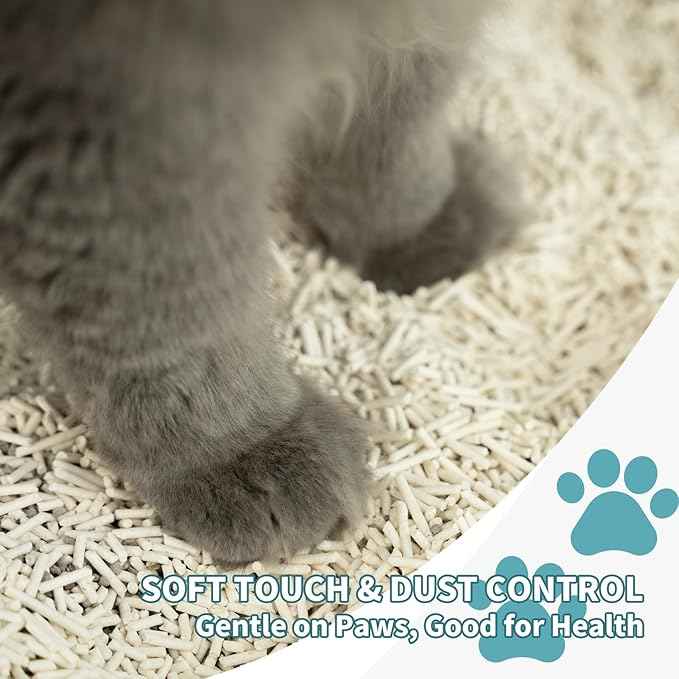 Plant-Based Cat Litter, Odor Control Quick Clumping Tofu Cat Litter, 24 lbs, Low Tracking Dust Control Lightweight Flushable Unscented Natural Kitty Litter